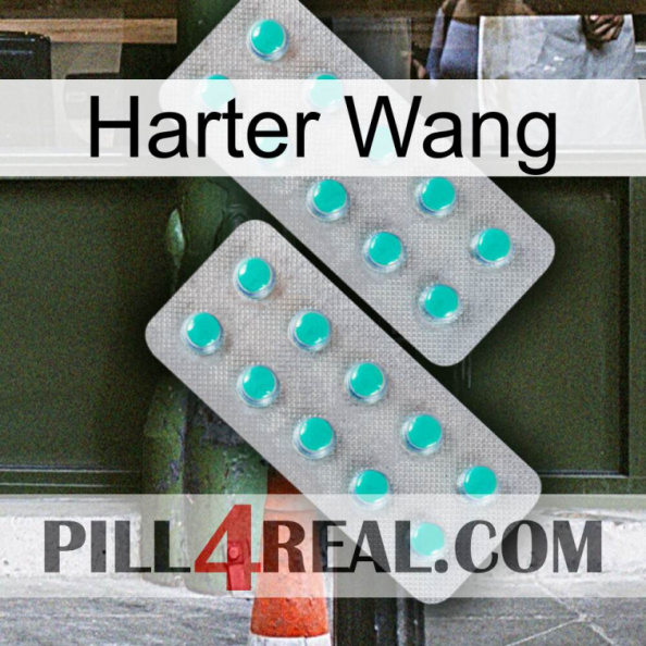 Hard Wang 29